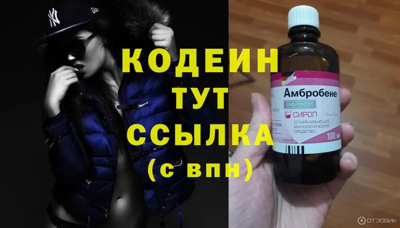 hydra как войти  магазин  наркотиков  Калтан  Codein Purple Drank 