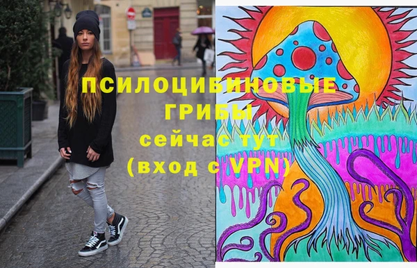 ALPHA-PVP Медвежьегорск