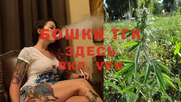 стафф Медногорск