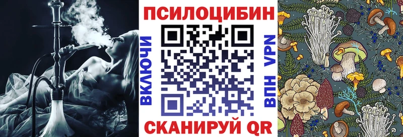 Псилоцибиновые грибы мухоморы  MEGA зеркало  Калтан  закладки 